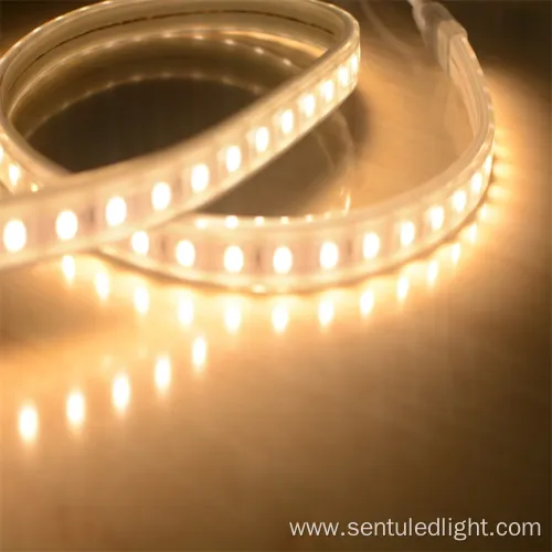 CE RoHS Approval Outdoor Dimmable LED Strip Light